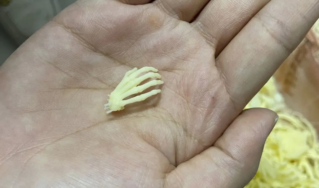 欧美日韩在线观看视频 专访∣动漫手办启航圣地：惠州启航叁维科技