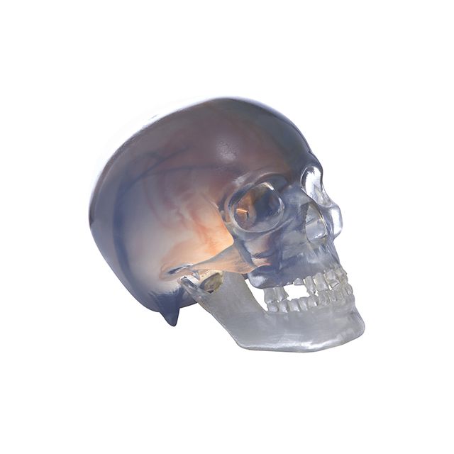欧美日韩在线观看视频 联泰答疑室 | 3D打印，我劝你在医疗行业别这么“嚣张”