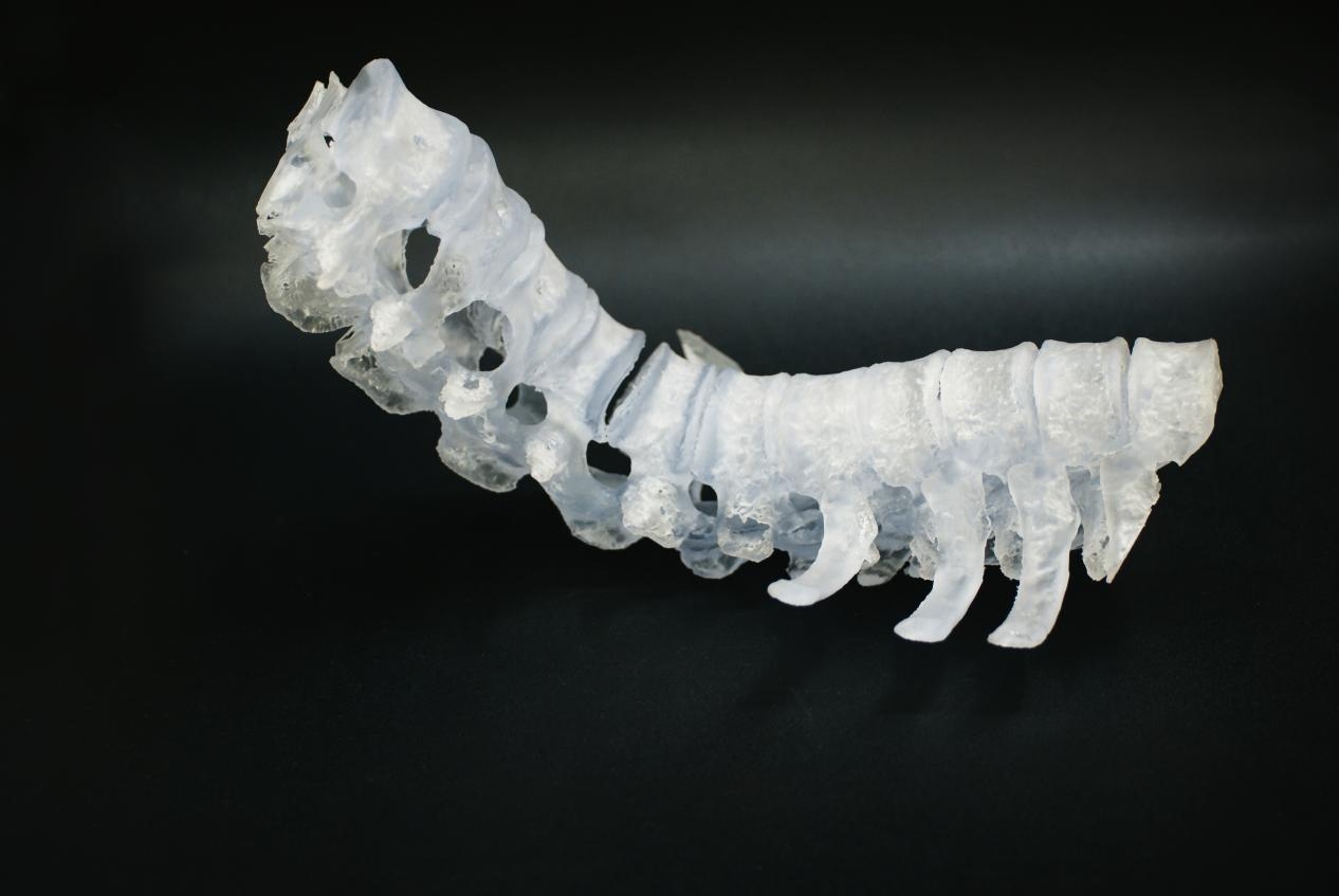 欧美强奸网站在线观看 医疗专用3D打印机品牌